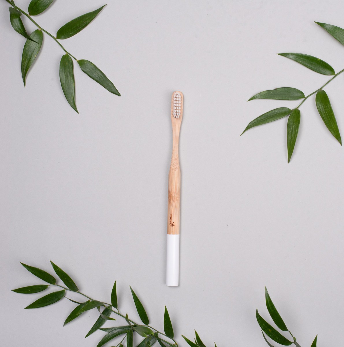 Brosse à dents en bambou avec boîte - ronde
