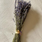 Bouquet de lavande bleue, Château de la Gabelle, 80g