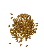 Petit épeautre en sac, Château de la Gabelle, 25kg