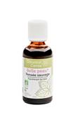 Pensée Sauvage, Douceur Cerise, 50ml