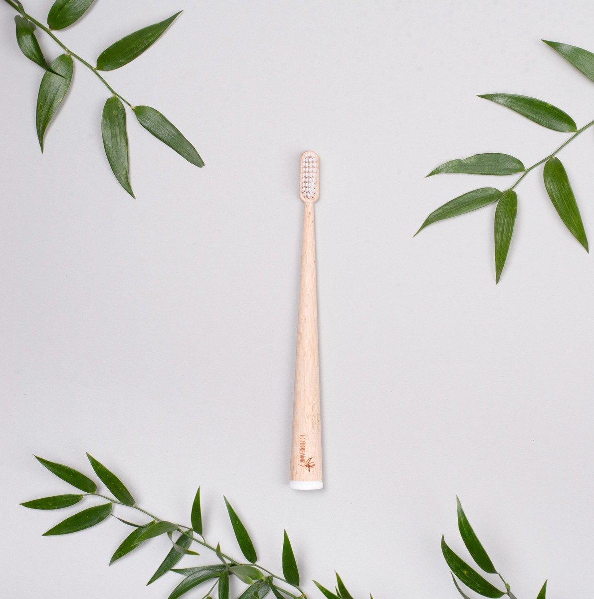 Brosse à dents en bambou avec boîte - debout