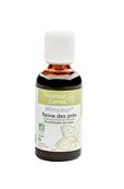 Reine des Prés, Douceur Cerise, 50ml