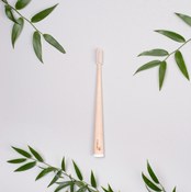 Brosse à dents en bambou avec boîte - debout